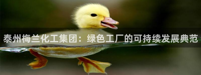 球盟会综合app下载：泰州梅兰化工集团：绿色工厂的可持续发展