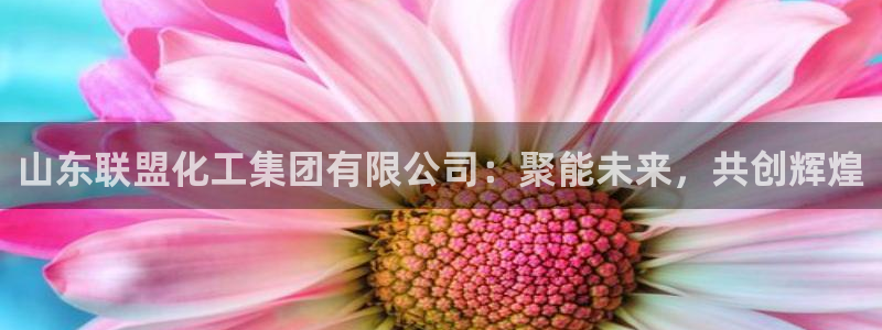 球盟会和中欧合作吗：山东联盟化工集团有限公司：聚能未来，共创