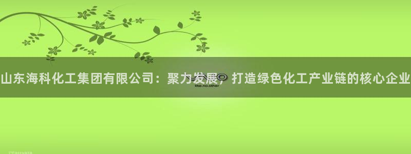 球盟会app手机登录：山东海科化工集团有限公司：聚力发展，打