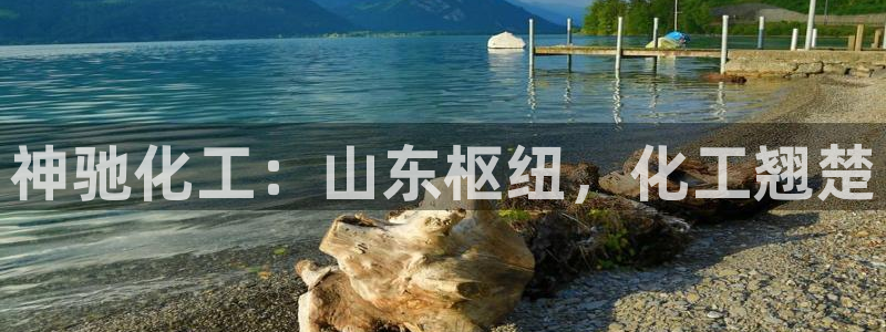 球盟会能退钱吗知乎：神驰化工：山东枢纽，化工翘楚