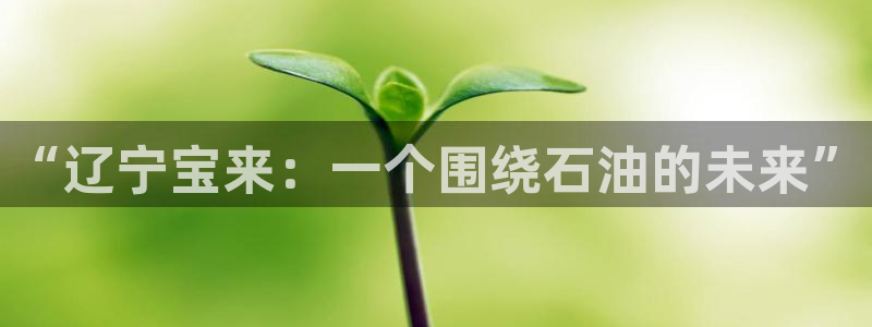 球盟会提款支付宝怎么样：“辽宁宝来：一个围绕石油的未来”