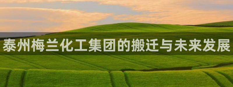 球盟会电子好下吗：泰州梅兰化工集团的搬迁与未来发展