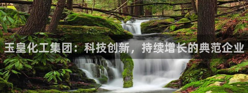 球盟会黑钱：玉皇化工集团：科技创新，持续增长的典范企业