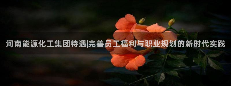 球盟会黑台子吗：河南能源化工集团待遇|完善员工福利与职业规划