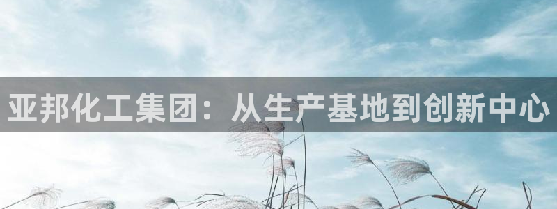 球盟会黑钱：亚邦化工集团：从生产基地到创新中心