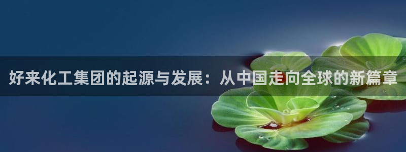 球盟会官方网站app：好来化工集团的起源与发展：从中国走向全