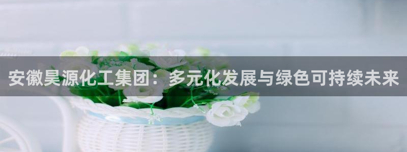 球盟会最新网：安徽昊源化工集团：多元化发展与绿色可持续未来