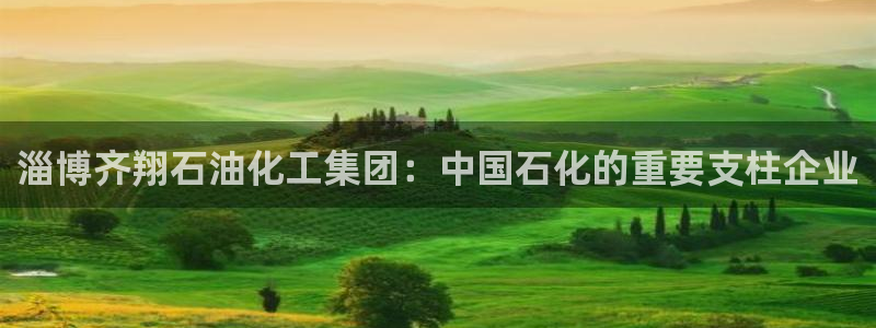 球盟会官方网站：淄博齐翔石油化工集团：中国石化的重要支柱企业