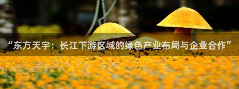 球盟会黑台：“东方天宇：长江下游区域的绿色产业布局与企业合作