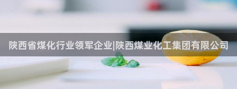 球盟会体验金球奖吗：陕西省煤化行业领军企业|陕西煤业化工集团
