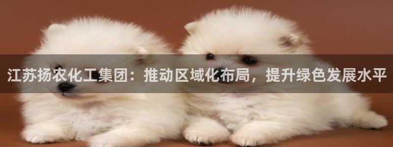 球盟会app入口：江苏扬农化工集团：推动区域化布局，提升绿色