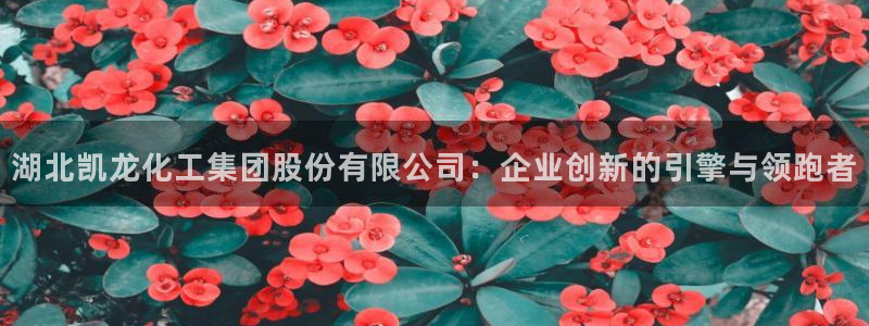 球盟会：湖北凯龙化工集团股份有限公司：企业创新的引擎与领跑者