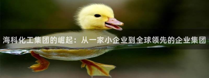 球盟会官方网页登录：海科化工集团的崛起：从一家小企业到全球领
