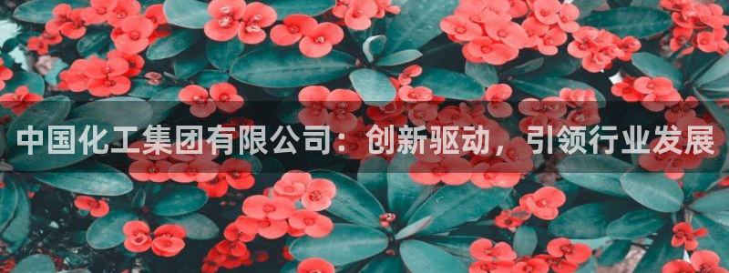 球盟会app网址多少号：中国化工集团有限公司：创新驱动，引领