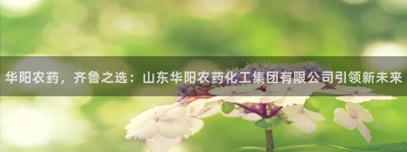 球盟会官方网页登录：华阳农药，齐鲁之选：山东华阳农药化工集团