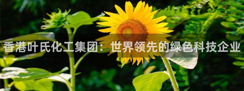 球盟会APP官网：香港叶氏化工集团：世界领先的绿色科技企业