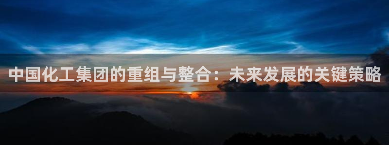 球盟会黑款吗还是白款：中国化工集团的重组与整合：未来发展的关