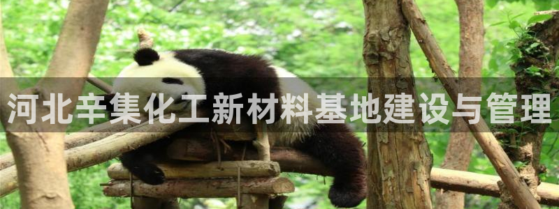 球盟会进不去吗：河北辛集化工新材料基地建设与管理