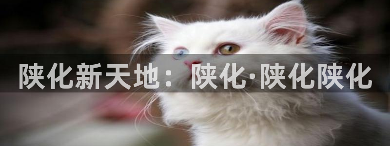 球盟会和中欧合作吗：陕化新天地：陕化·陕化陕化
