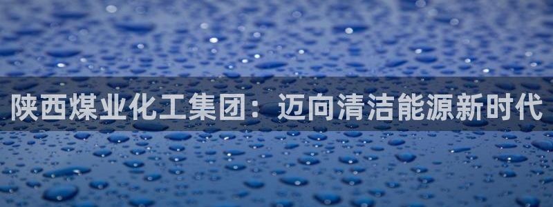 球盟会官方客服：陕西煤业化工集团：迈向清洁能源新时代