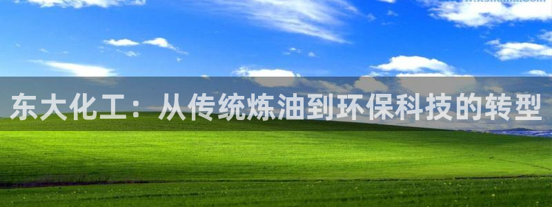 球盟会黑钱：东大化工：从传统炼油到环保科技的转型