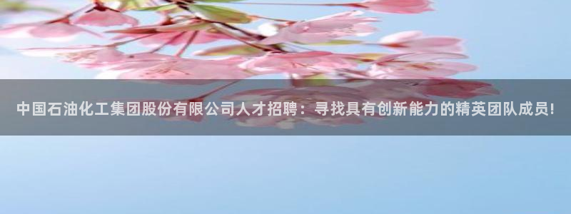 球盟会app网址多少：中国石油化工集团股份有限公司人才招聘：