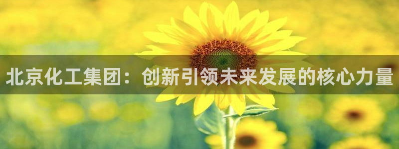 球盟会封号：北京化工集团：创新引领未来发展的核心力量