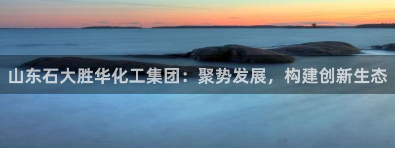 球盟会黑款吗知乎：山东石大胜华化工集团：聚势发展，构建创新生