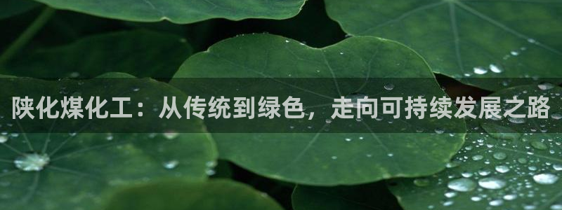 球盟会有限公司怎么样：陕化煤化工：从传统到绿色，走向可持续发