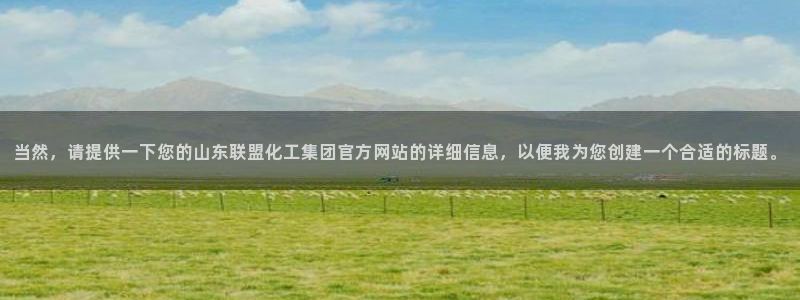 球盟会优惠券：当然，请提供一下您的山东联盟化工集团官方网站的