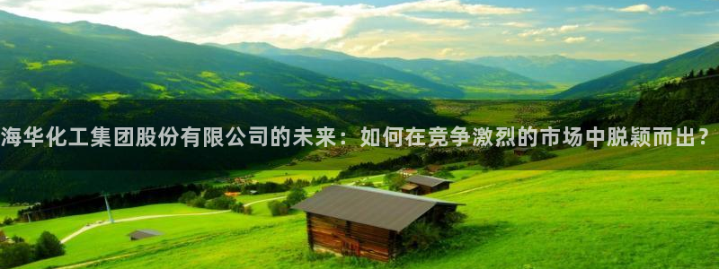 球盟会app入口：海华化工集团股份有限公司的未来：如何在竞争