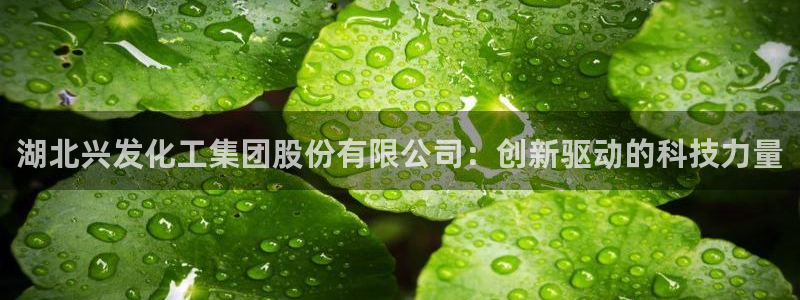 球盟会官网登录入口：湖北兴发化工集团股份有限公司：创新驱动的