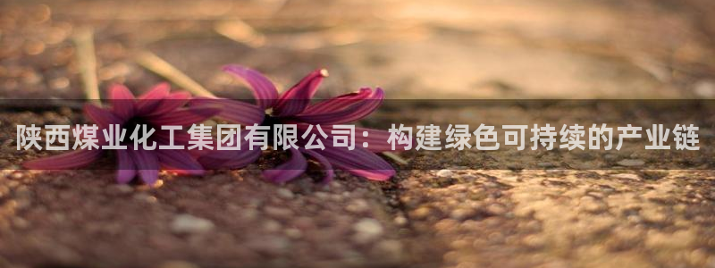 球盟会qmh官网：陕西煤业化工集团有限公司：构建绿色可持续的